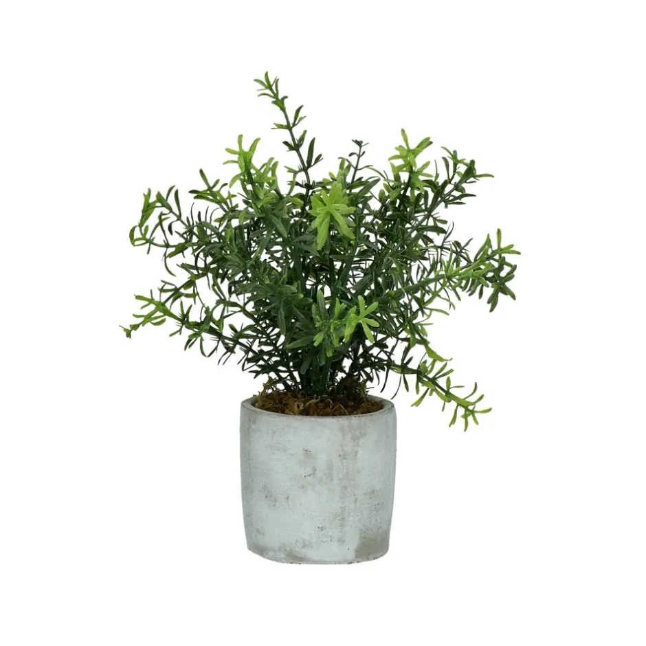 Pomax Plantes-CONCRETE JUNGLE - plante artificielle - synthétique / ciment - DIA 11 x H 23.5 cm - vert