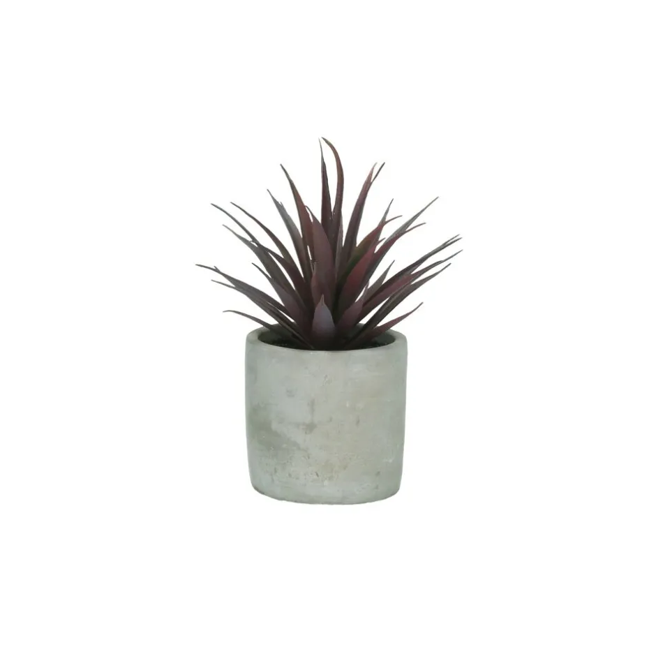 Pomax Plantes-CONCRETE JUNGLE - plante artificielle / violet - synthétique / ciment - DIA 8 x H 16 cm - vert