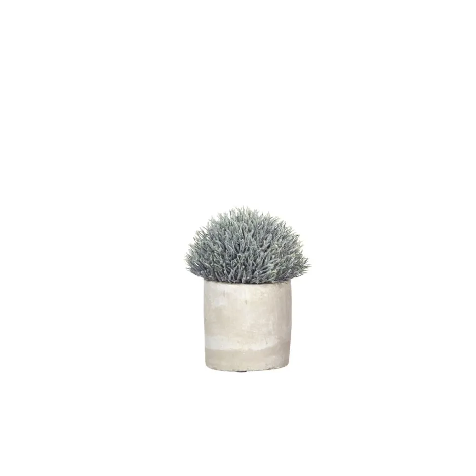 Pomax Plantes-CONCRETE JUNGLE - plante artificielle en pot - ciment / synthétique - DIA 10 x H 14 cm