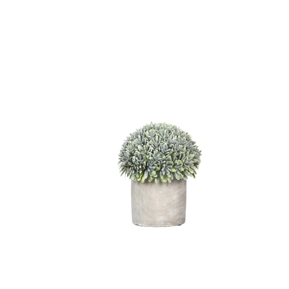 Pomax Plantes-CONCRETE JUNGLE - plante artificielle en pot - ciment / synthétique - DIA 12 x H 14 cm
