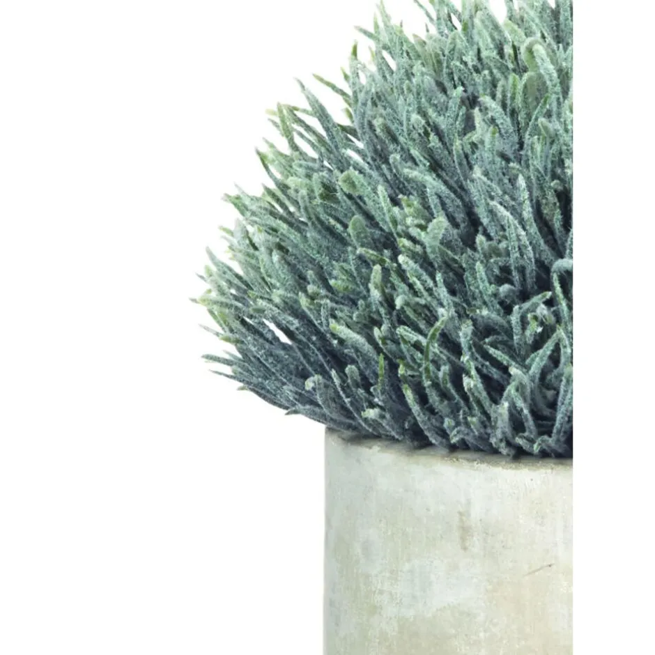 Pomax Plantes-CONCRETE JUNGLE - plante artificielle en pot - ciment / synthétique - DIA 10 x H 14 cm