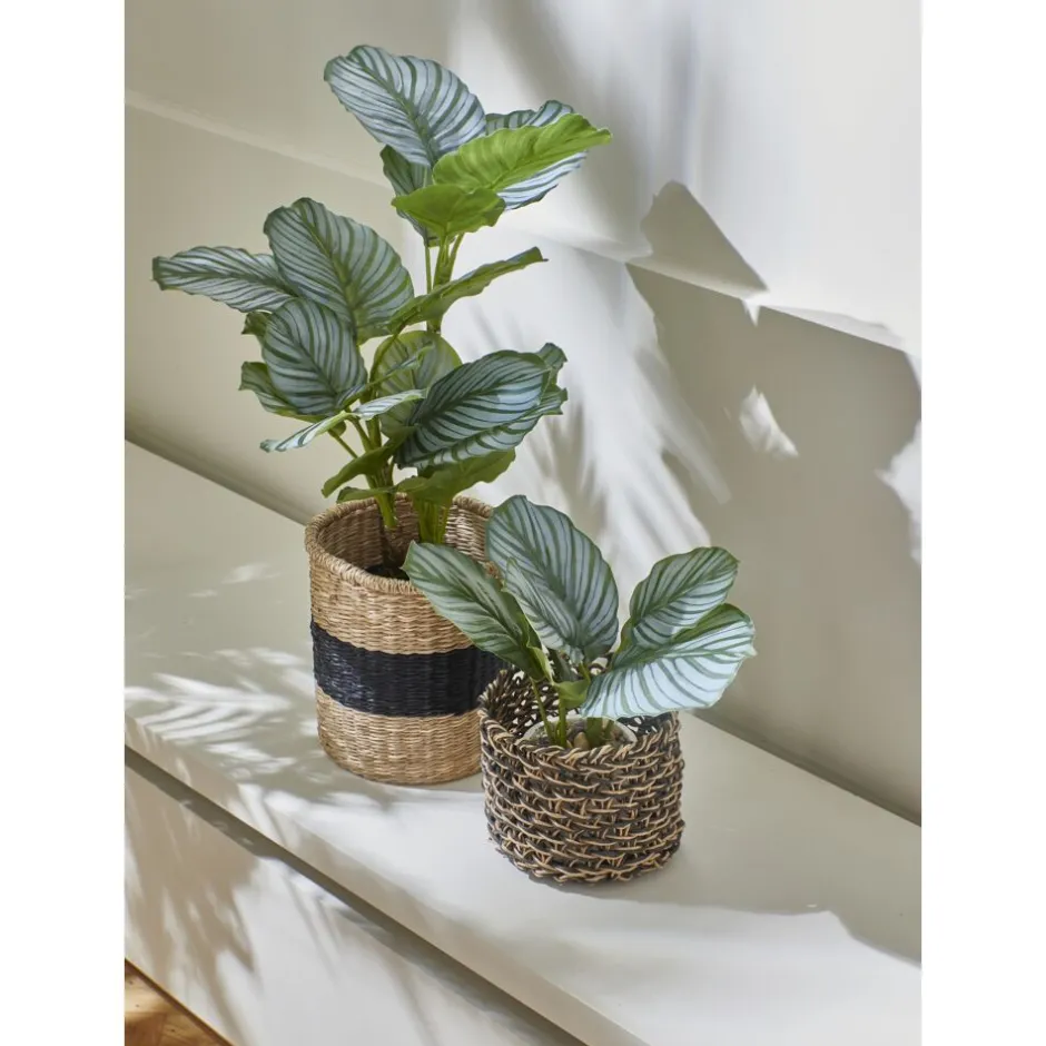 Pomax Plantes-JUNGLE FEVER - plante artificielle en pot - synthétique / métal - H 68 cm - vert