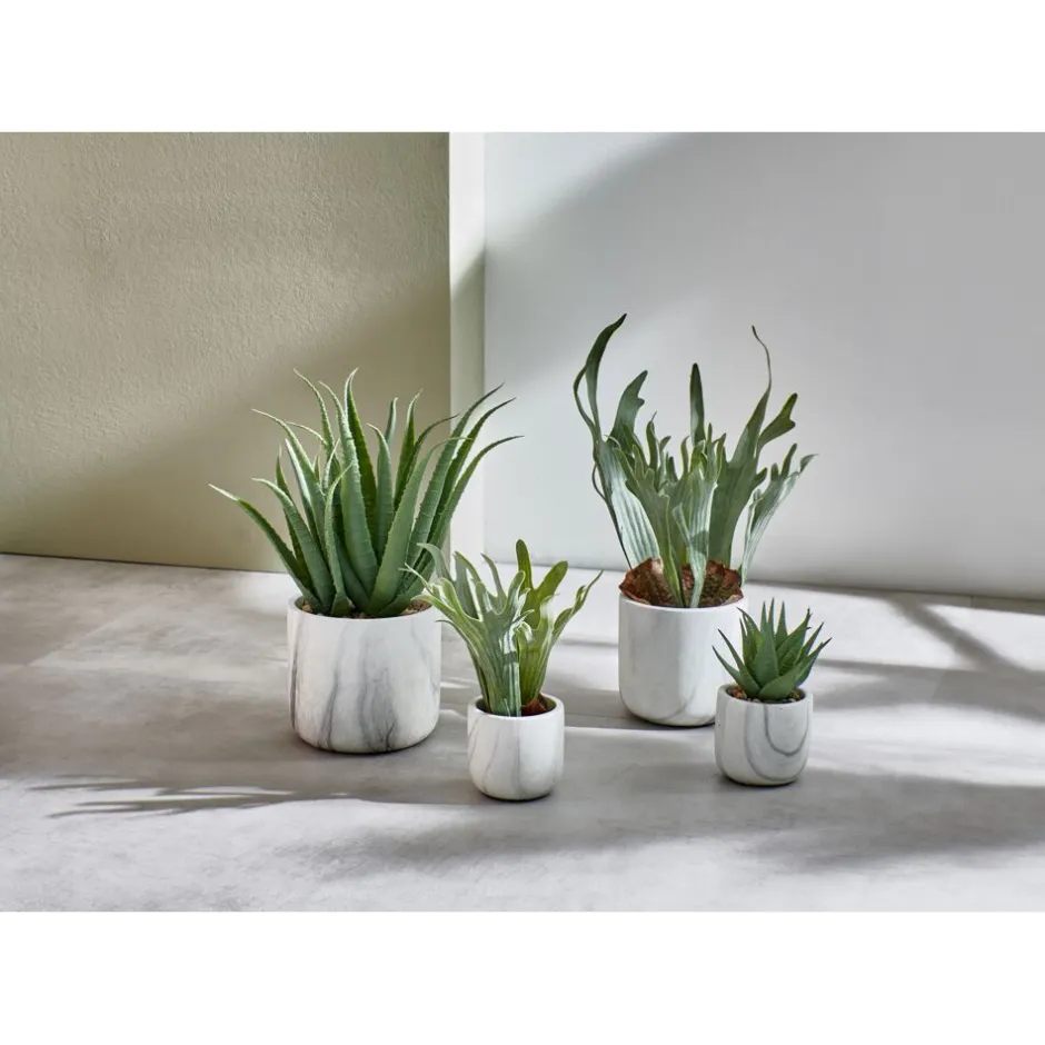 Pomax Plantes-MARMURA - plante artificielle - synthétique / ciment - DIA 8 x H 22 cm - vert