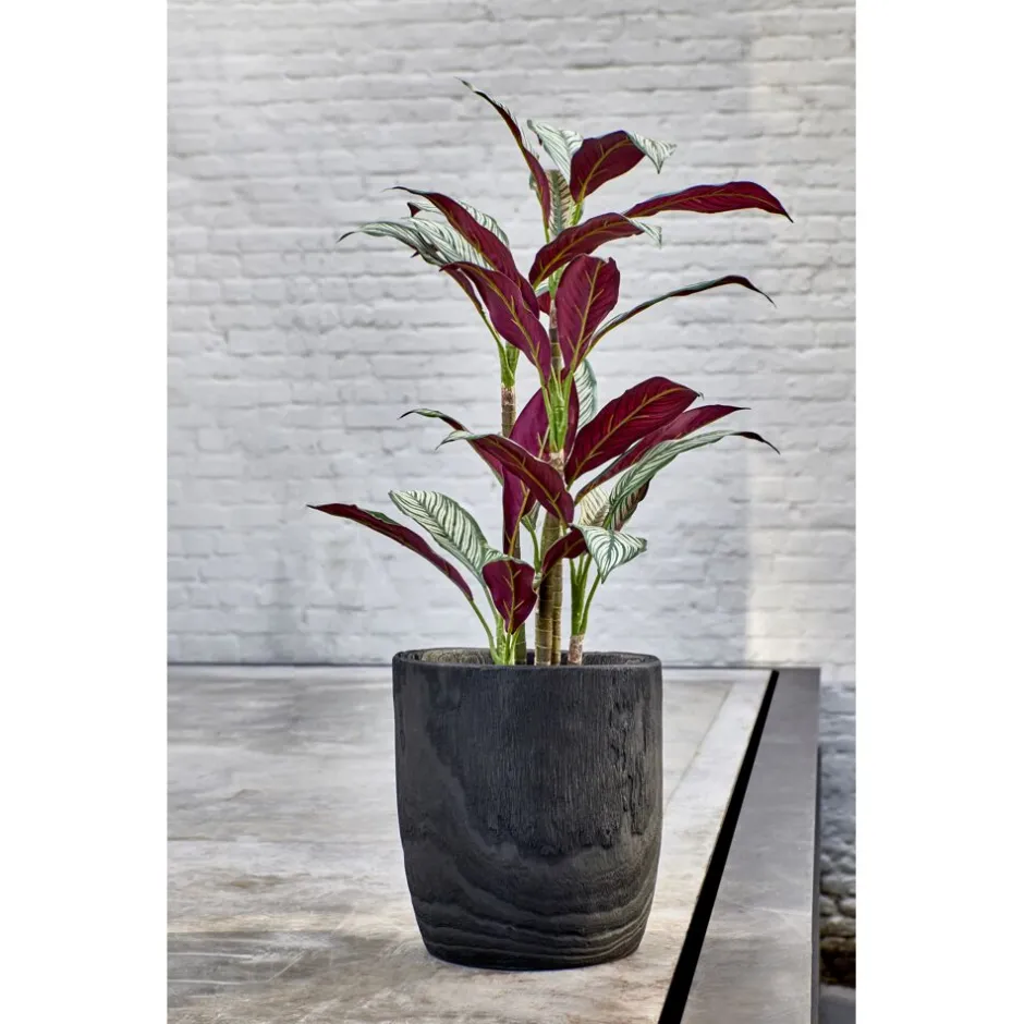 Pomax Cache-pots-PURE - pot à fleurs - bois de paulownia - DIA 30 x H 32 cm - noir
