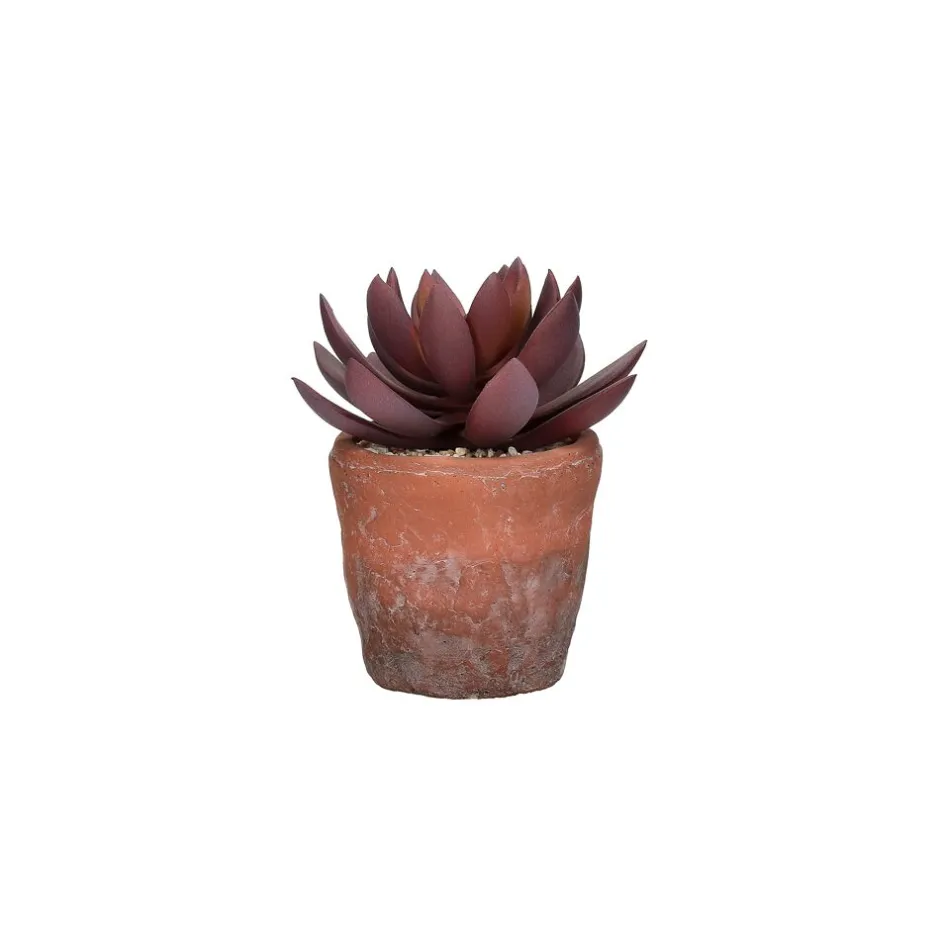 Pomax Plantes-TERRACOTTA LOVE - plante artificielle en pot - synthétique / terracotta - DIA 12 x H 16,5 cm - figue