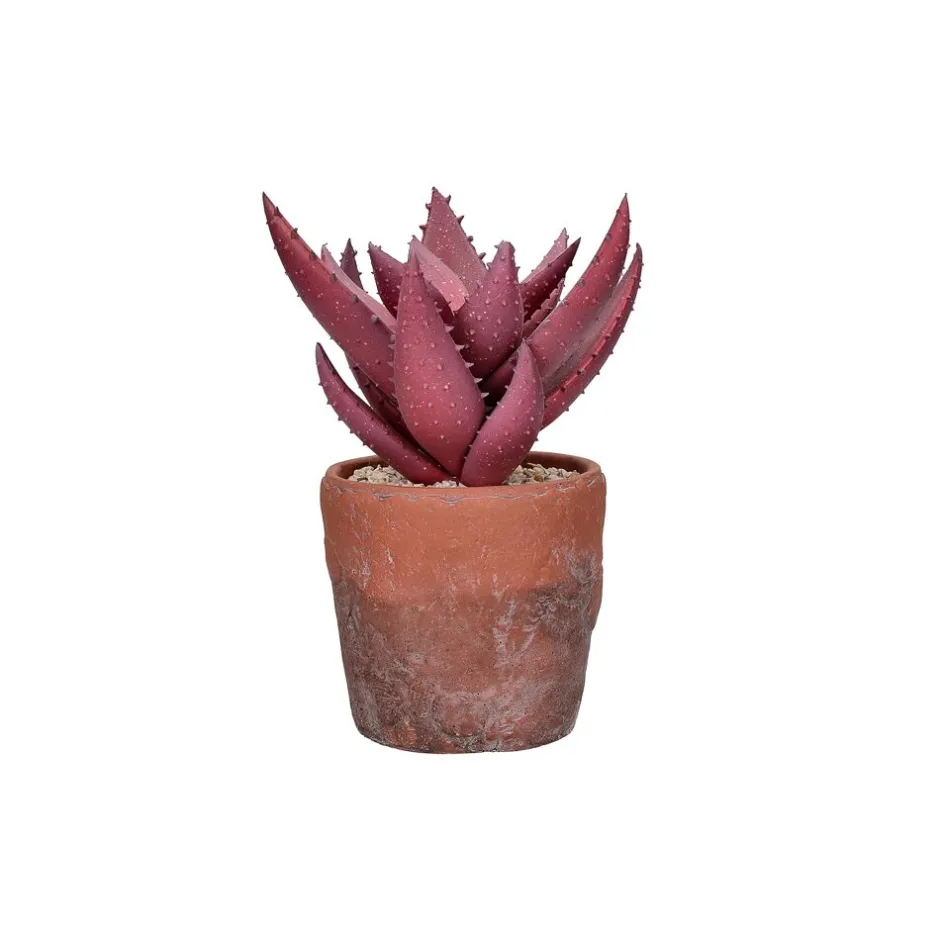 Pomax Plantes-TERRACOTTA LOVE - plante artificielle en pot - synthétique / terracotta - DIA 19,5 x H 24,5 cm - figue