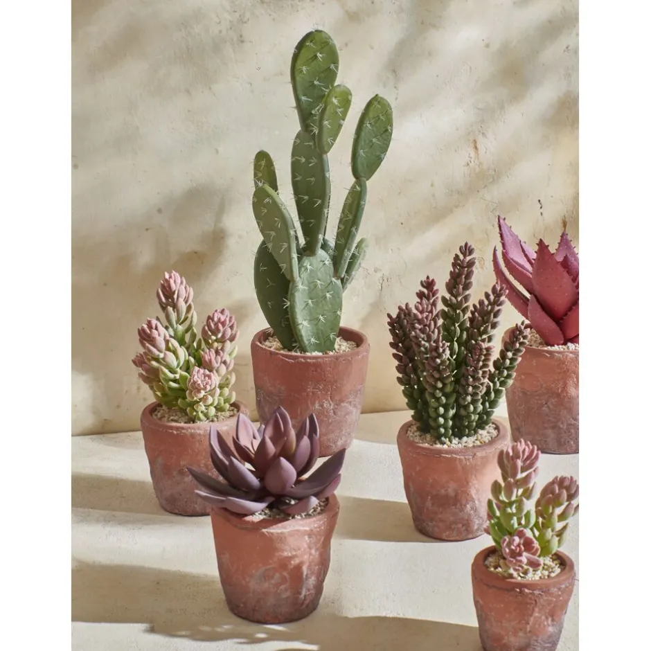 Pomax Plantes-TERRACOTTA LOVE - plante artificielle en pot - synthétique / terracotta - DIA 19,5 x H 24,5 cm - figue